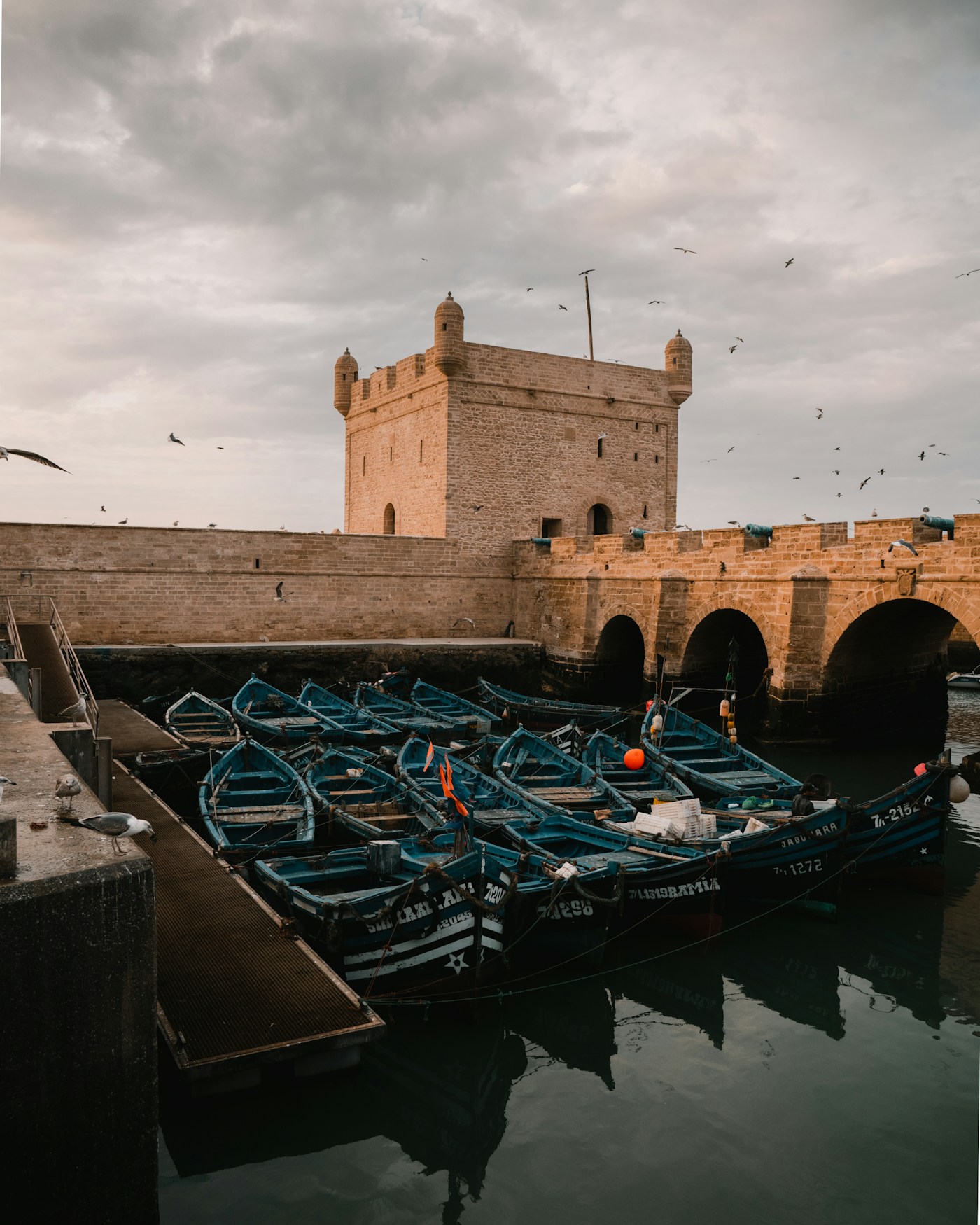 Les barques bleues du port d’Essaouira